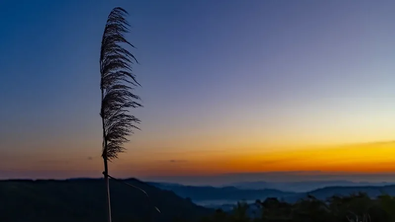 Inverno em Santa Catarina deve ter chuvas e temperaturas próximas da média