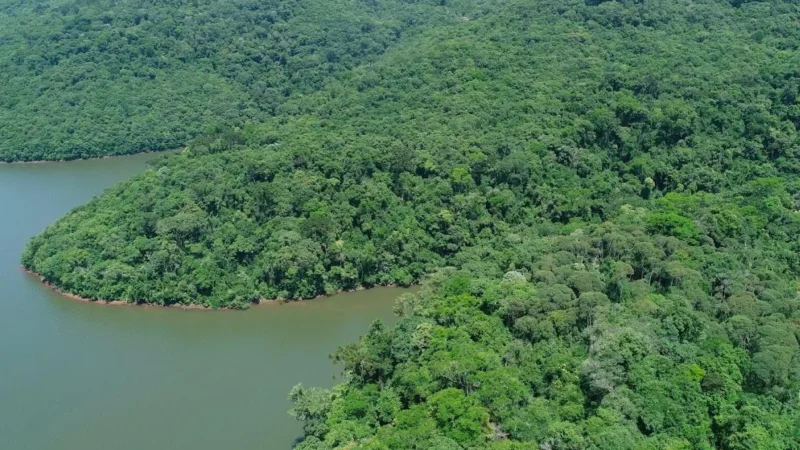 Secretaria do Meio Ambiente completa um ano com foco em progresso econômico mais sustentável