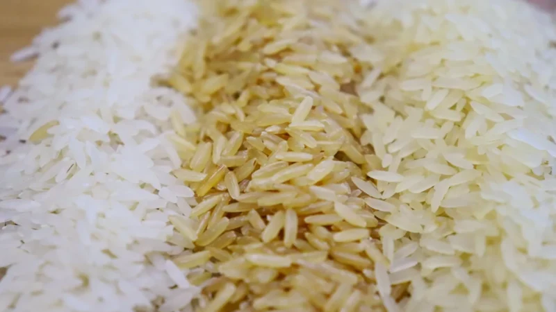 Para SindArroz-SC, leilão causará danos irreparáveis às indústrias de arroz do Brasil