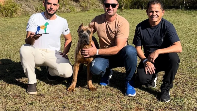 Araranguá conquista prêmio nacional