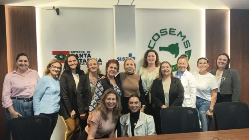 Araranguá representa CIR da AMESC na câmara técnica de atenção primária em saúde