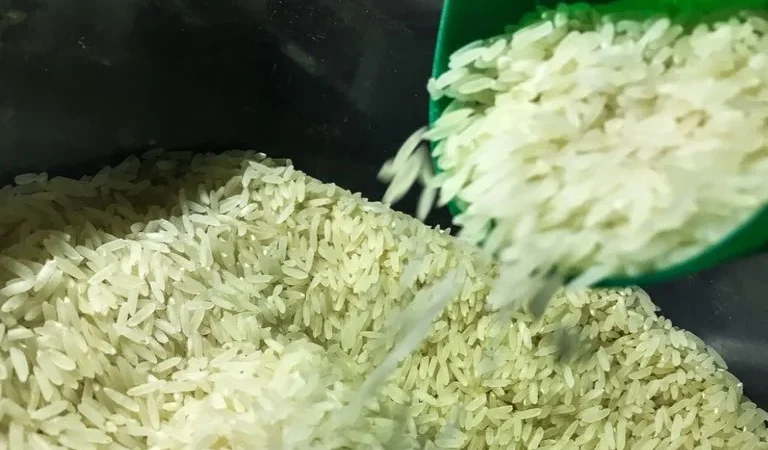 Pelo estado: novo leilão de arroz pode prejudicar produtores locais