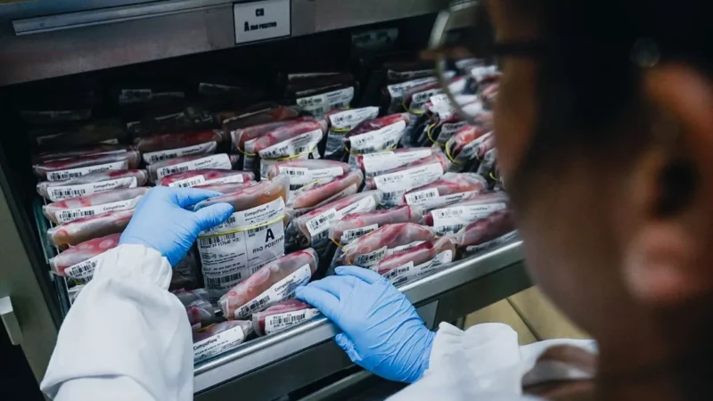 Hemosc celebra 37 anos com mais de 2 milhões de bolsas de sangue coletadas e transfundidas