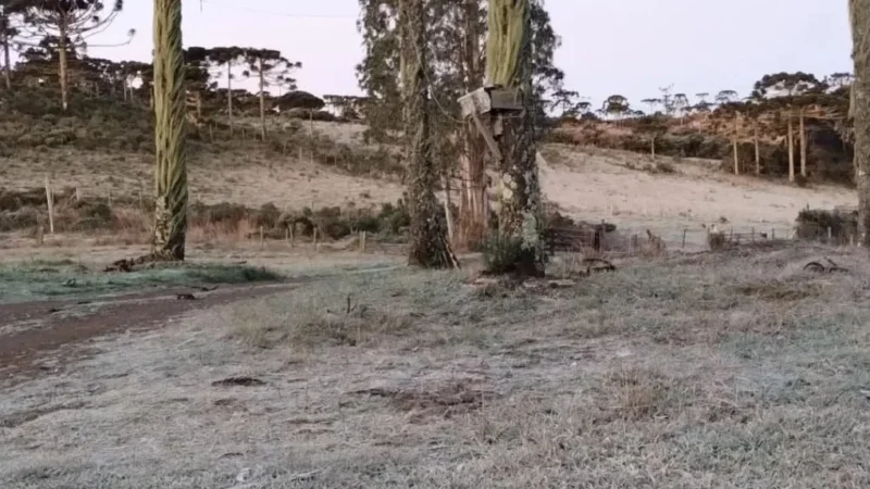 Urupema registra -7,2°C na madrugada de domingo, a menor temperatura do ano em Santa Catarina