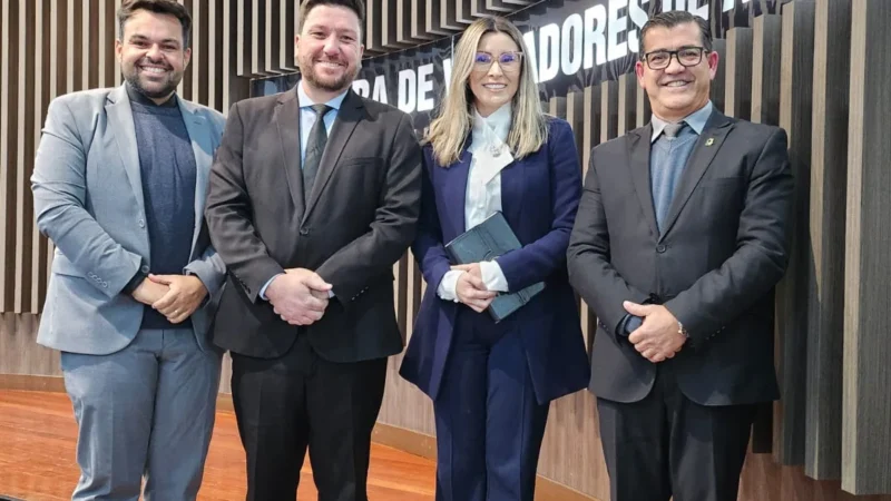 Gerente de Saúde Andresa Ribeiro se despede e apresenta relatório aos vereadores