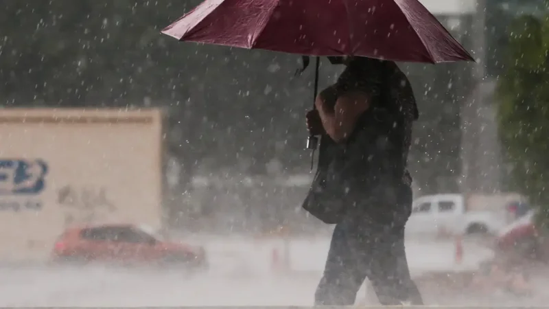 Previsão do tempo: semana em Santa Catarina tem chuva persistente e temperaturas baixas