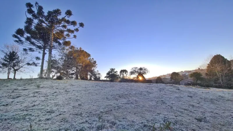 Abaixo de -6ºC: SC amanhece com temperatura negativa e geada