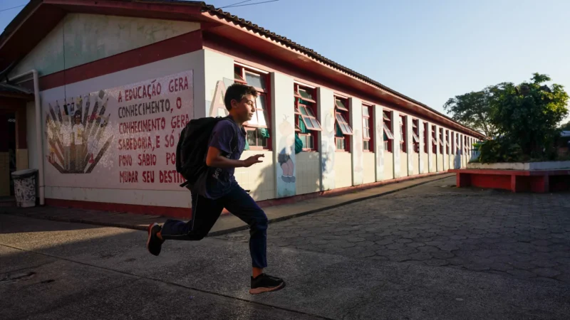 Governo do Estado promove formação sobre sistema de inteligência de dados Educação na Palma da Mão