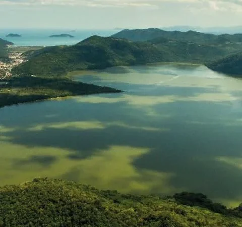 MPSC ingressa com ação contra desmonte da FLORAM
