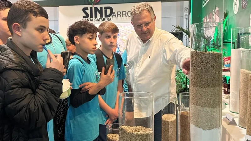Na AgroPonte 2024, SindArroz-SC destaca a importância do arroz para a economia do Brasil