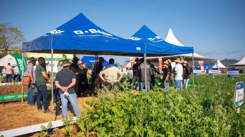 Cooperja prepara 3ª edição de seu Campo de Inverno e comemora 55 anos de sua história