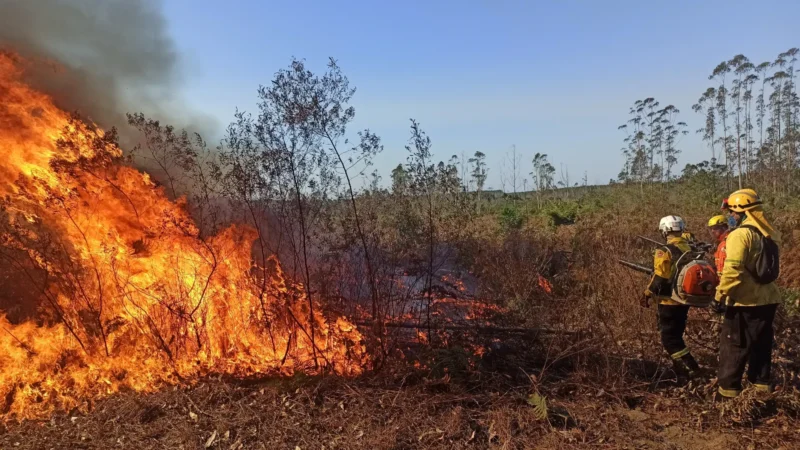 Governo de Santa Catarina envia bombeiros militares para apoiar combate aos incêndios no Mato Grosso do Sul