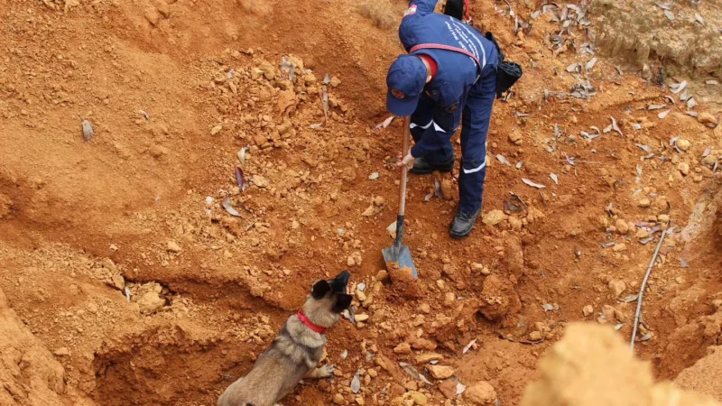 Cão de busca dos bombeiros de Rio do Sul passa por treinamento para atuação em operações de resgate