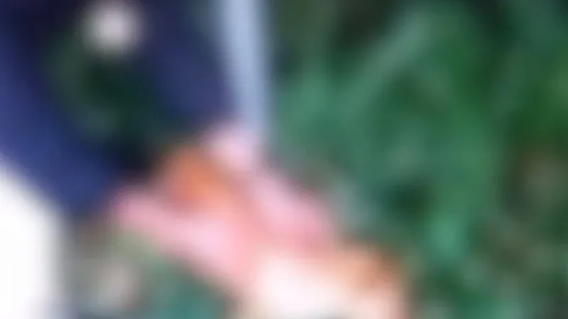 Estudantes gravam vídeo durante maus tratos a animal