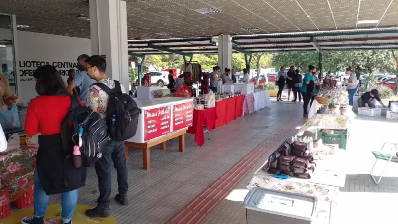 Conferência discute políticas de apoio à Economia Solidária de Santa Catarina