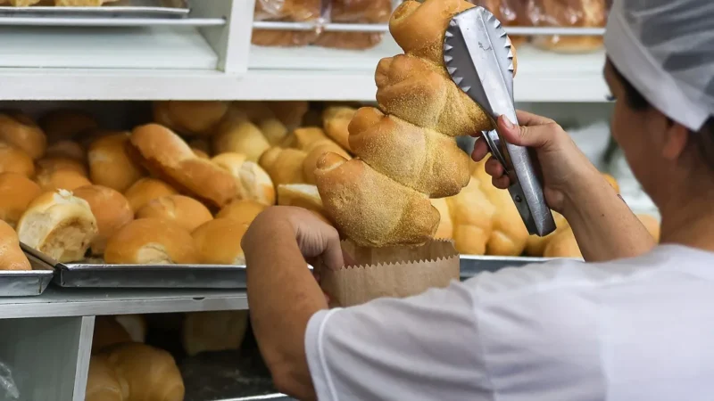 Sine Santa Catarina oferece 9.407 vagas de emprego