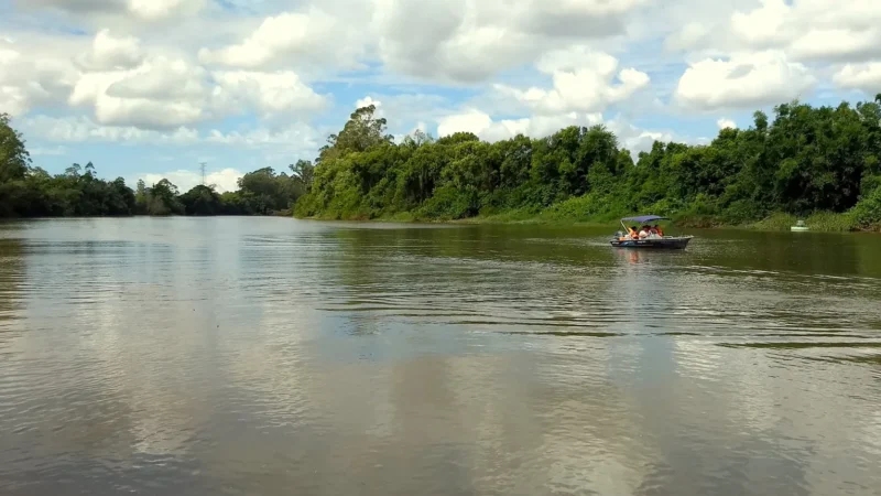 Comitê Araranguá e Afluentes do Mampituba: 23 anos de conquistas e desafios no desenvolvimento sustentável da região
