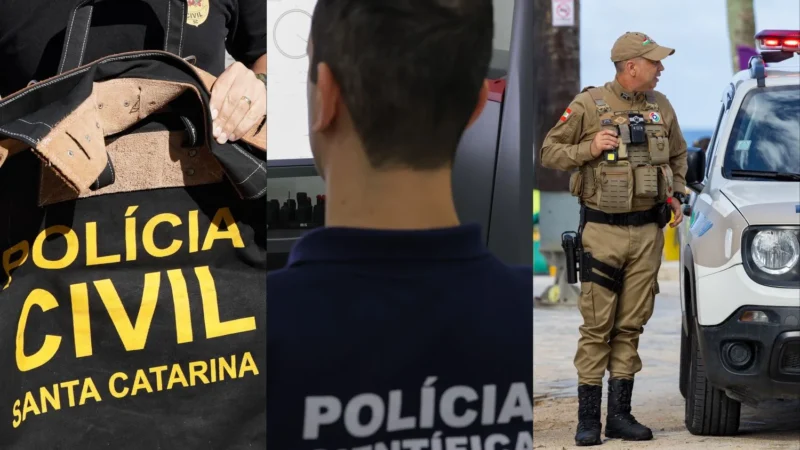 Santa Catarina tem redução nos índices de roubos e homicídios em 2024