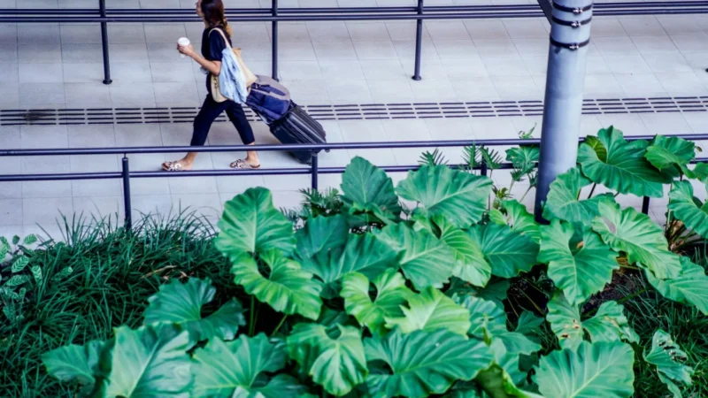 Santa Catarina tem crescimento de 71% no número de turistas internacionais em 2024