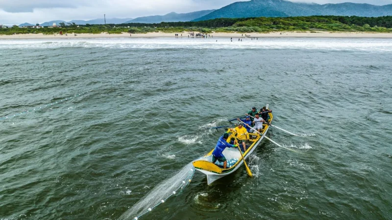 Secretaria da Aquicultura e Pesca de SC orienta pescadores sobre inscrição para a safra da tainha 2025