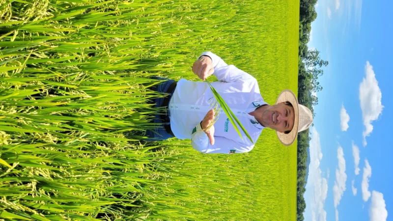 9º Dia de Campo Dagostin Sementes e 7ª Abertura da Colheita do Arroz de SC