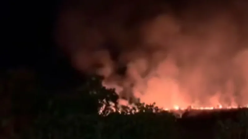 Bombeiros tentam apagar incêndio de três focos em vegetação