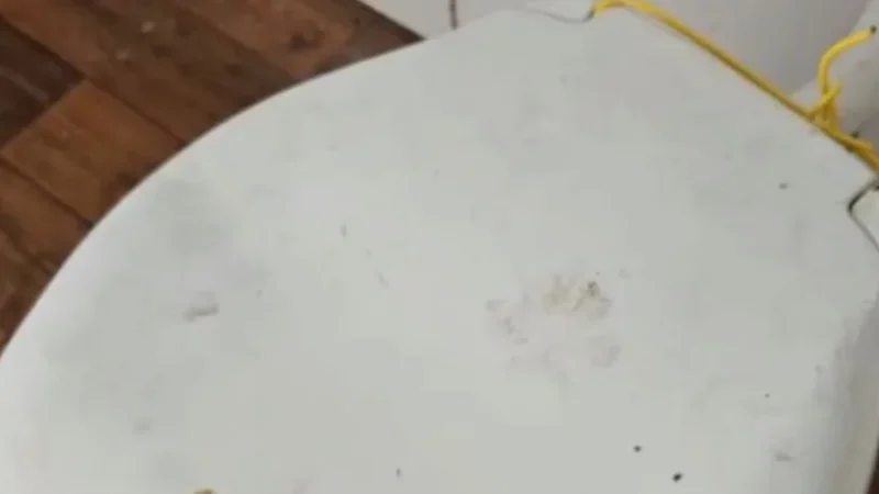 Suspeito de abuso e maus-tratos a animais é preso no Balneário
