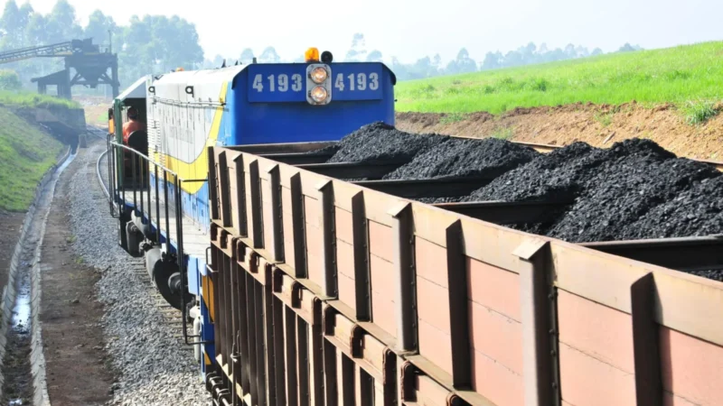 Ferrovias de Santa Catarina transportaram 6,8 milhões de toneladas de cargas em 2024