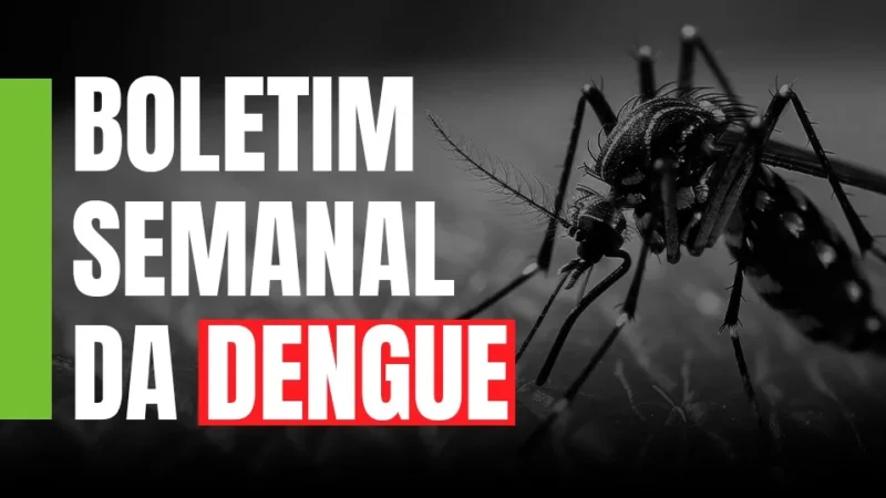 Dengue em SC: situação segue de alerta pelos riscos associados a chuvas e calor no estado