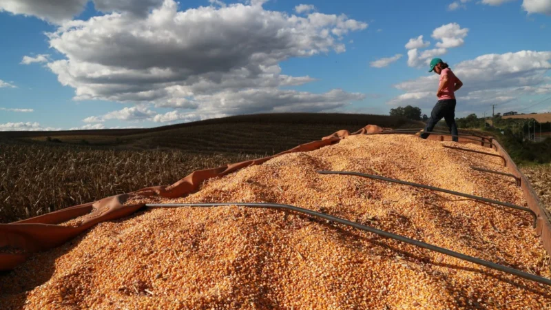 Epagri apresenta os resultados do agronegócio catarinense em 2024