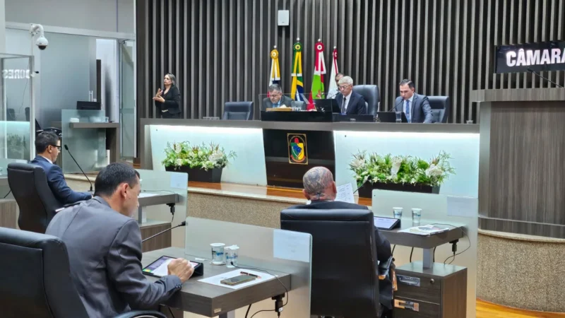 Primeira sessão do ano elege membros de comissões temáticas
