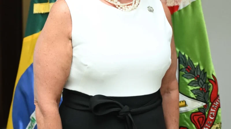 Pelo estado: entrevista com Adeliana Dal Pont, Secretaria de Estado da Assistência Social, Mulher e Família