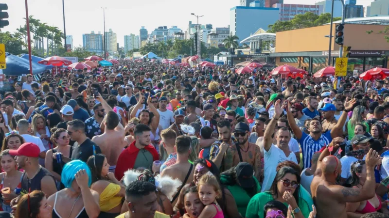 Pelo estado: folia que movimenta a economia