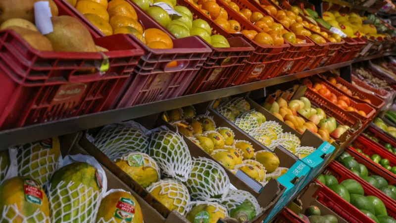 Observatório Agro Catarinense tem novo painel sobre o mercado de hortifrútis