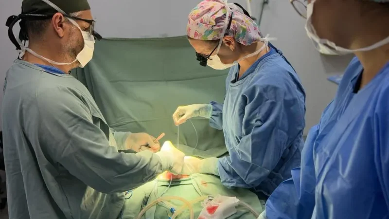 Hospital Dom Joaquim/IMAS realiza cirurgia inédita de extrofia da bexiga em bebês