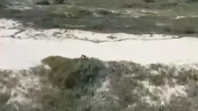 Corpo é encontrado em trilha do Morro dos Conventos ; Polícia investiga como possível homicídio