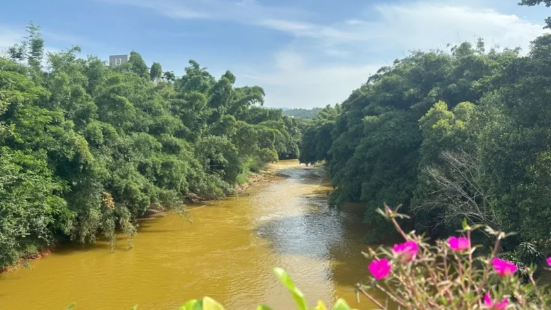 No Dia Mundial da Água, Comitês das Bacias do Sul reforçam apelo pelo uso sustentável dos recursos hídricos