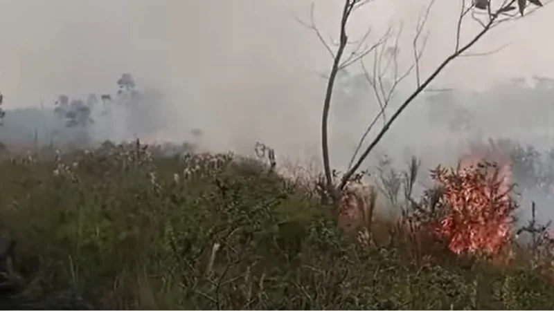 Incêndio em vegetação contido: todo cuidado é pouco