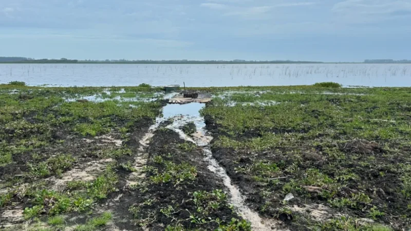 MPSC ajuíza ação civil pública para conter degradação e salvar a Lagoa do Caverá