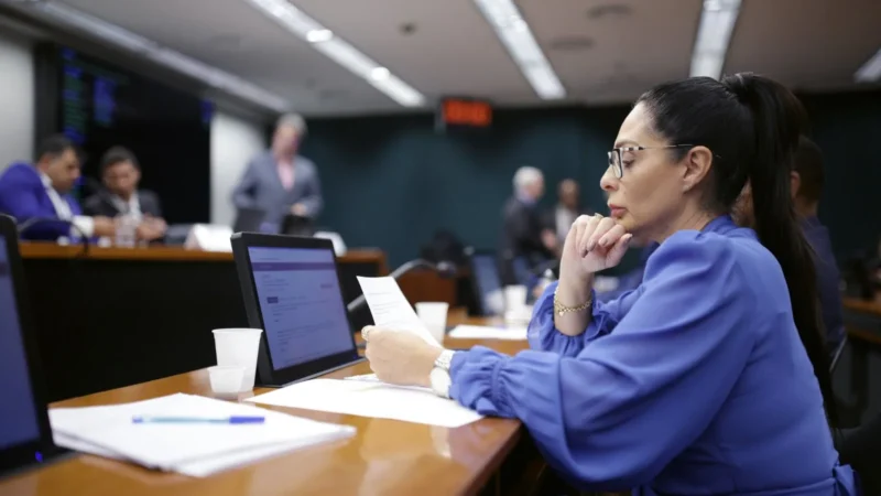 Pelo estado: Deputados catarinenses se destacam em Brasília