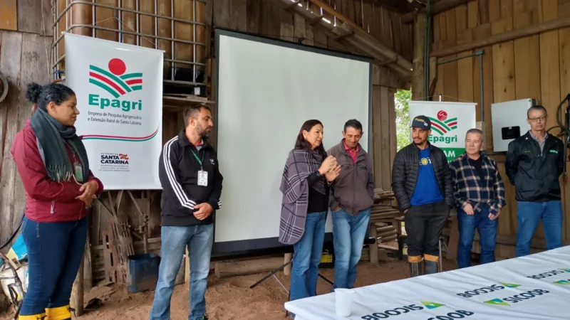 Agricultores de Sombrio aprendem técnicas de manejo da pitaya em curso realizado na propriedade de seu Lolo