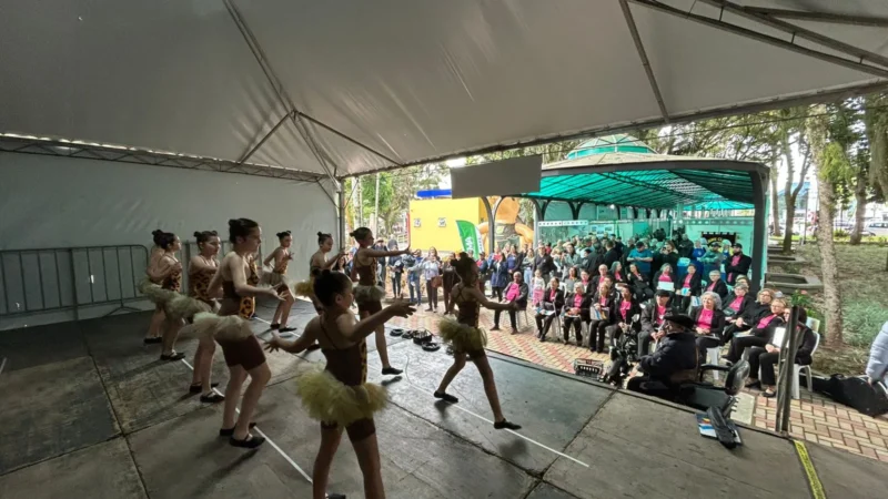 Araranguá celebra Semana do Meio Ambiente com ações educativas e distribuição de mudas