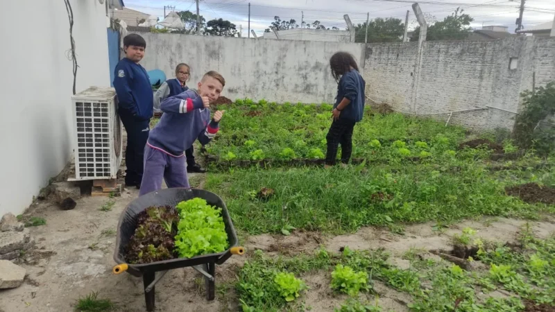 Parceria entre CRAS e Cresol impulsiona horta comunitária em Araranguá