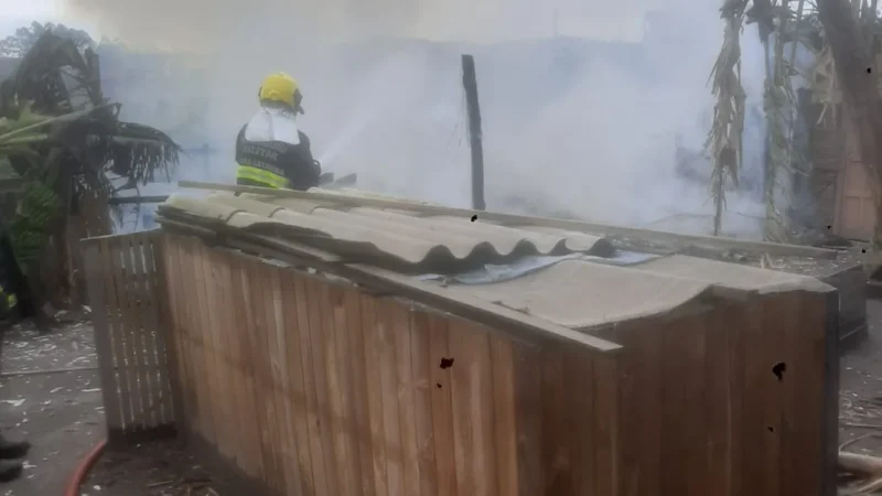 Incêndio destrói galpão com criação de aves em São João do Sul