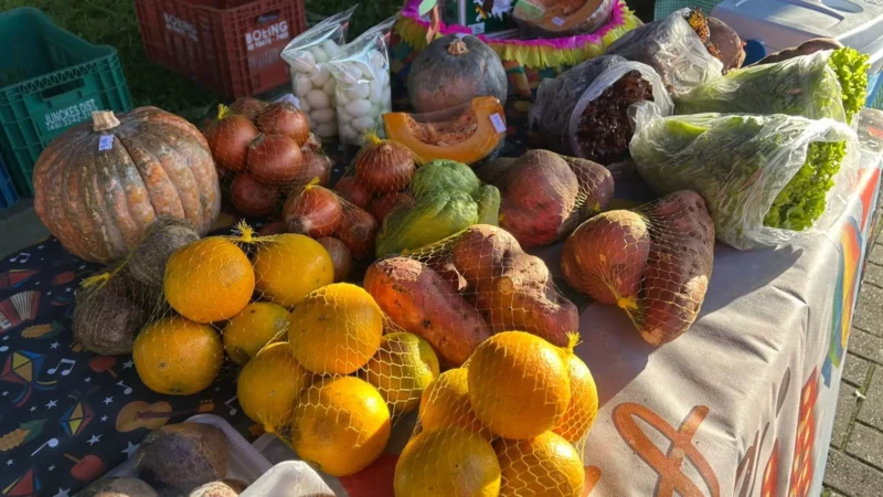 Sexta é dia de Feira da Agricultura Familiar em Araranguá