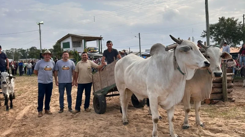 São João do Sul realiza 1ª Festa do Carro de Boi e celebra raízes culturais da região