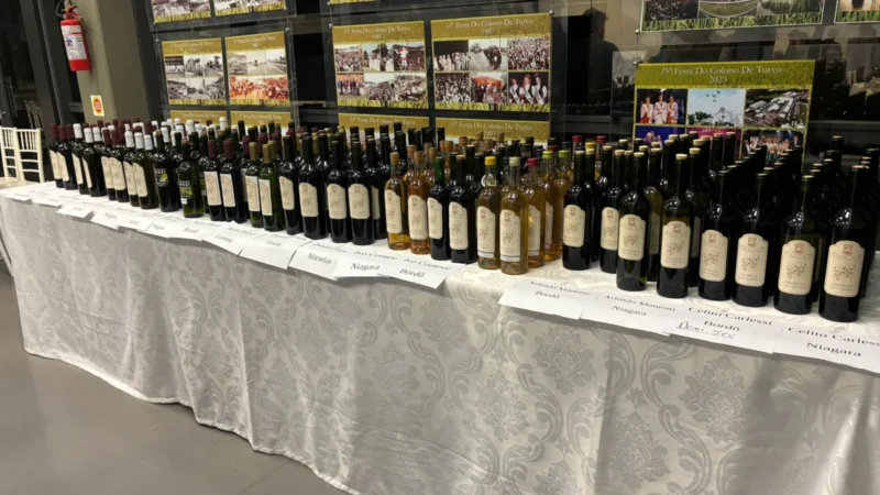 3ª Mostra de Vinho de Turvo celebra tradição, sabor e desenvolvimento do setor