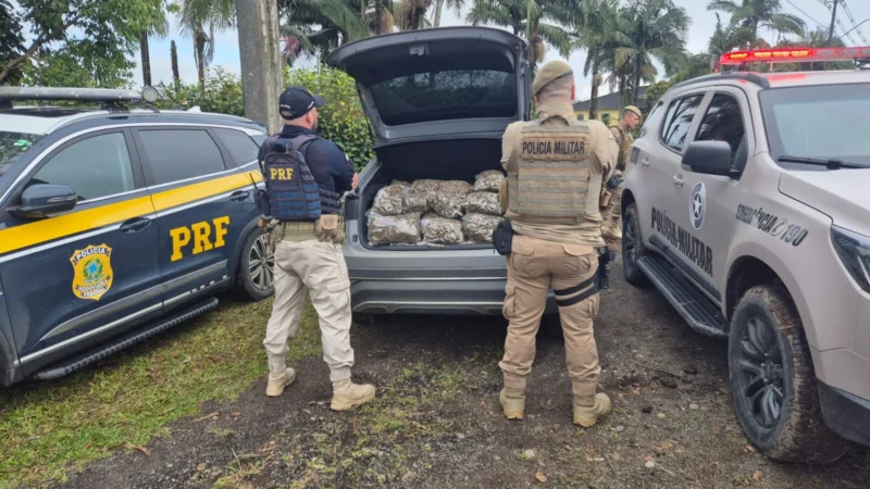 PM e PRF apreendem quase 50 kg de skunk em operação na SC-447 em Meleiro