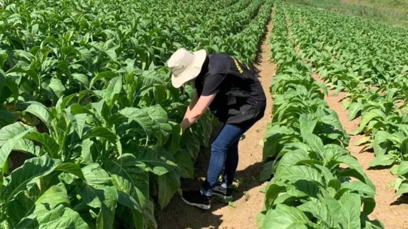 Semana legislativa em SC inicia com conferência sobre mudanças climáticas e audiências públicas sobre infraestrutura e produção agrícola
