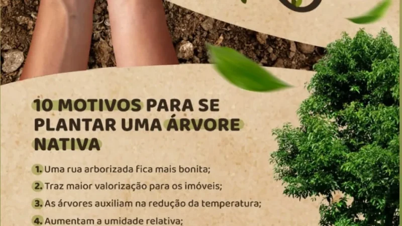Araranguá celebra o Dia da Árvore e reforça compromisso com a preservação ambiental